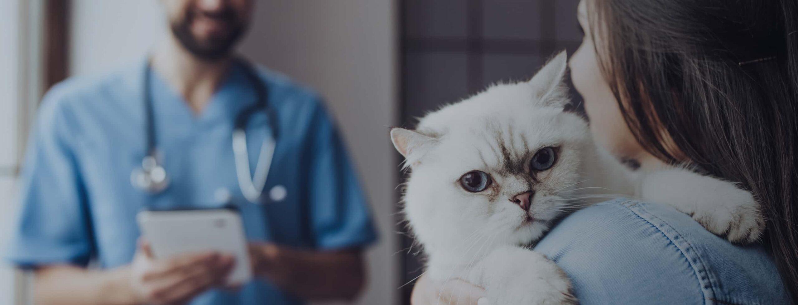 Plan Your First Visit